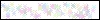 Auth Image